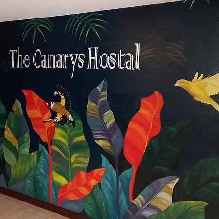 The Canarys Hostal Santa Rosa de Cabal Dış mekan fotoğraf