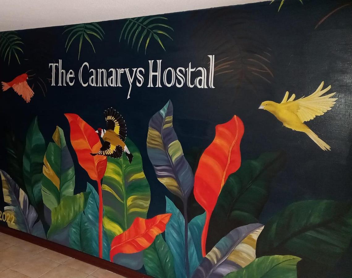 The Canarys Hostal Santa Rosa de Cabal Dış mekan fotoğraf