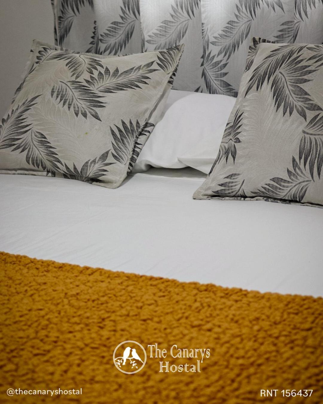 The Canarys Hostal Santa Rosa de Cabal Dış mekan fotoğraf